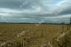 赤峰蘿卜分瓣機(jī)廠家電話號(hào)碼