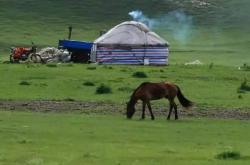 赤峰擇羽商貿(mào)公司電話號碼查詢