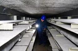 赤峰招挖電纜溝工人電話號碼