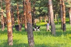 赤峰植物動物園電話號碼查詢