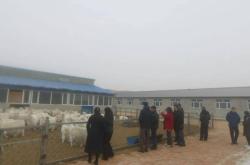 赤峰羊絨收購(gòu)商家電話號(hào)碼是多少