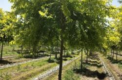 赤峰花果山糖果基地電話號(hào)碼