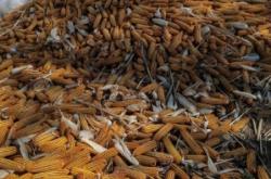 赤峰林西塑料廠地址電話號碼