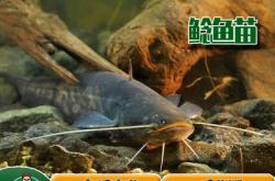 赤峰市水產(chǎn)送貨上門電話號碼