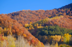 赤峰美林谷景區(qū)電話