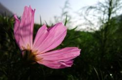 赤峰佳能專賣店電話號碼查詢