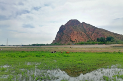 北京至赤峰物流專線