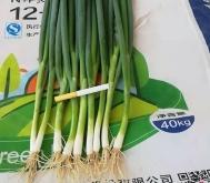 赤峰小韓建材店電話多少號