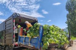 赤峰移動式卸貨平臺電話號碼