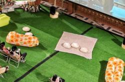 赤峰市夜光集市地址電話號(hào)碼