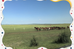 赤峰純泥紅磚廠電話號碼查詢