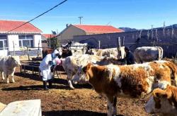 赤峰林西縣家政服務(wù)電話號碼