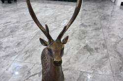 赤峰辦公室擺件廠家電話號(hào)碼