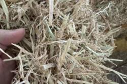 赤峰牛羊草料供應(yīng)商電話號(hào)碼