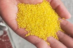 赤峰凍黃染料廠家電話號(hào)碼