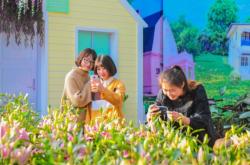 赤峰維多利嘉年華電話號(hào)碼查詢