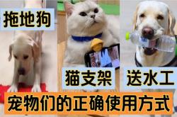 赤峰送水貓銷售部電話號(hào)碼