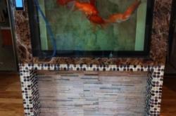 赤峰魚缸網(wǎng)購(gòu)組裝管件電話號(hào)碼