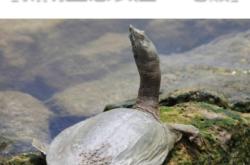 赤峰農(nóng)家飯館電話號(hào)碼查詢是多少