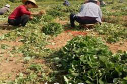 赤峰三全食品批發(fā)電話地址查詢