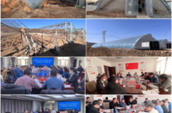 赤峰蔬菜苗批發(fā)市場電話號碼