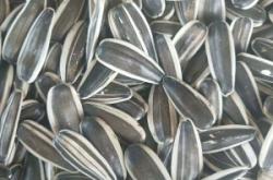 赤峰谷康批發(fā)市場(chǎng)電話號(hào)碼