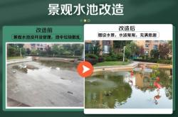 赤峰百合園小區(qū)物業(yè)電話號碼