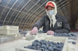 赤峰敖漢洋洋鐵藝廠電話是多少