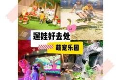 赤峰萌寵寵物樂園電話多少號(hào)