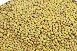 赤峰黑蒜加工廠電話地址查詢