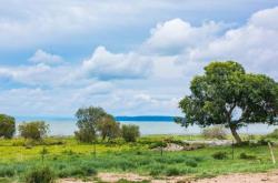 赤峰中京冰泉送水電話號碼