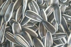 惠農(nóng)到赤峰的客車電話號(hào)碼是多少