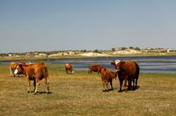 赤峰歐黎洗滌廠電話號碼查詢