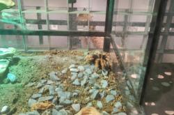 赤峰卡丁車海達(dá)店電話號碼查詢