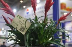 赤峰花卉水族館電話號(hào)碼多少