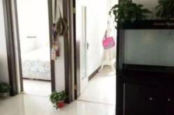 赤峰二手木質(zhì)地板電話號碼