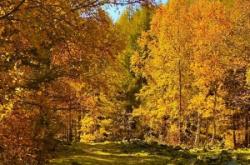 赤峰美琪工作室地址電話號碼