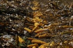 赤峰阿旗大地保險電話號碼是多少