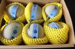 赤峰6號紙箱廠地址電話號碼