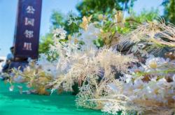 赤峰檀越府幼兒園電話地址查詢