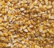 赤峰市玉米烘干商家電話號(hào)碼