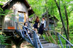 赤峰紅葉谷景區(qū)電話號(hào)碼多少