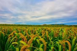 赤峰本地地膜廠家電話號碼查詢