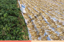 赤峰市野雞廠電話(huà)地址查詢(xún)號(hào)碼