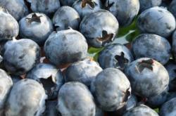 赤峰花香谷團購平臺電話號碼