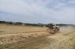 赤峰收購(gòu)油菜桿廠家電話號(hào)碼