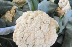 赤峰樂兜超市電話號碼多少