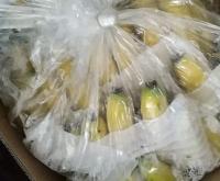 赤峰大姜批發(fā)電話號碼查詢