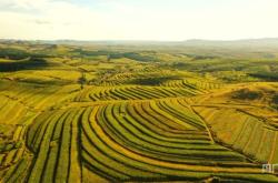 赤峰敖漢羊養(yǎng)殖戶電話號碼