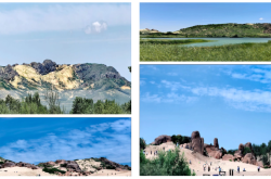 赤峰市林東商廈電話號碼查詢